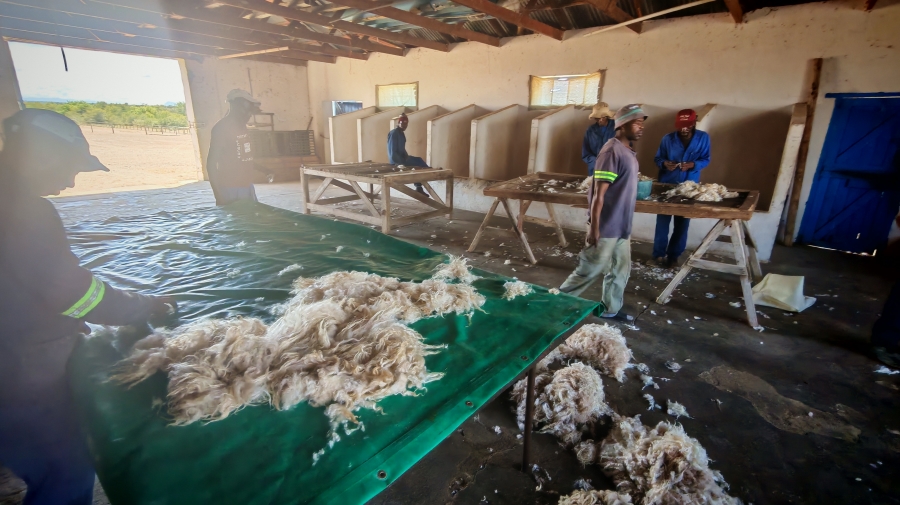 6 Bedroom Property for Sale in Pearston Eastern Cape